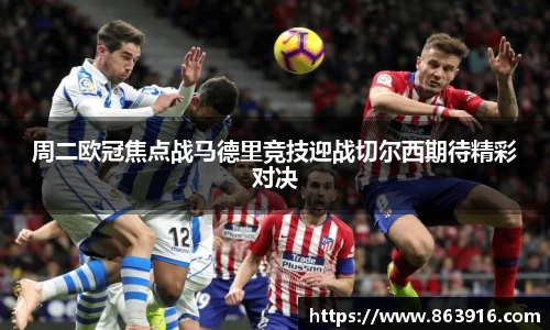 BB贝博艾弗森体育